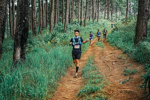 BIB: 
                            <button type="button" onclick="openModal(25652988)" class="btn btn-primary btn-sm float-right btn-popup" data-toggle="modal" data-target=".modal-high-quality">
                        <i class="fas fa-shopping-cart"></i> Add to Cart
                    </button>
                                            <button type="button" onclick="isThisMe(25652988, true)" class="btn btn-success btn-sm float-right btn-popup btn-isme hidden" data-toggle="tooltip" data-placement="bottom" title="นี่คือรูปของคุณใช่ไหม คลิกที่นี่เพื่อเอาเข้าอัลบั้ม">
                        <i class="fas fa-plus"></i> Add to album
                    </button>
                    <button type="button" onclick="isThisMe(25652988, false)" class="btn btn-warning btn-sm float-right btn-popup btn-isnotme hidden">
                        <i class="fas fa-ban"></i> Remove from album
                    </button>